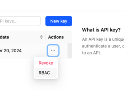 API key RBAC menu