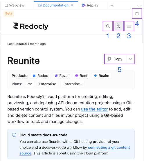 Screenshot of the Documentation tab in Reunite editor
