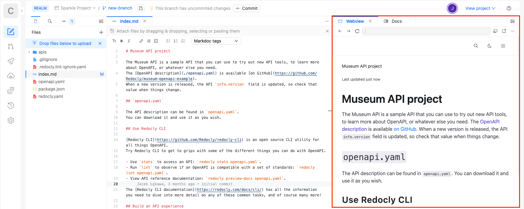 Screenshot of the Webview tab in the editor